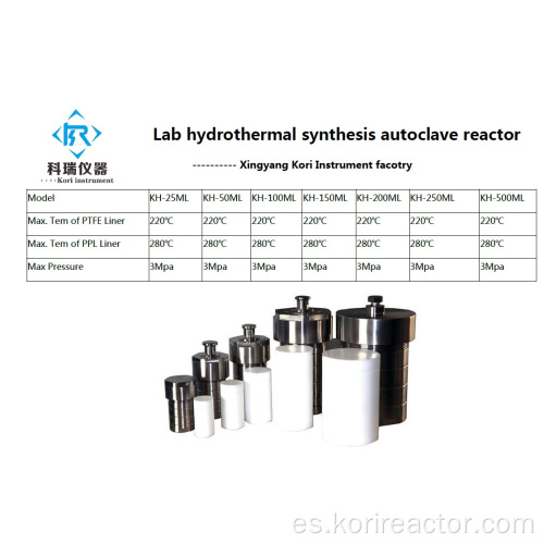 Reactor de síntesis hidrotermal de laboratorio barato